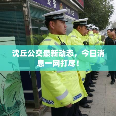 沈丘公交最新動(dòng)態(tài),今日消息一網(wǎng)打盡!