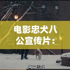 電影忠犬八公宣傳片:電影忠犬八公國語在線觀看完整