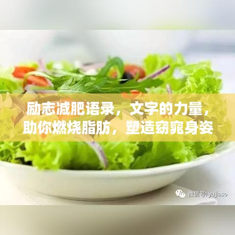 勵志減肥語錄,文字的力量,助你燃燒脂肪,塑造窈窕身姿!