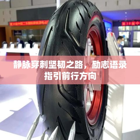 靜脈穿刺堅韌之路,勵志語錄指引前行方向