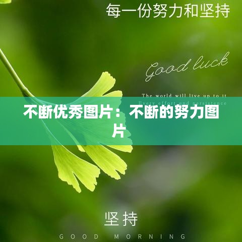 不斷優(yōu)秀圖片:不斷的努力圖片