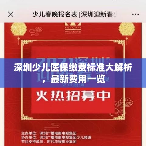 深圳少兒醫保繳費標準大解析,最新費用一覽