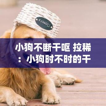 小狗不斷干嘔 拉稀:小狗時不時的干嘔但吃喝拉撒正常
