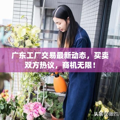 廣東工廠交易最新動態(tài),買賣雙方熱議,商機無限!