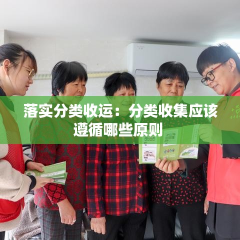 落實分類收運:分類收集應該遵循哪些原則