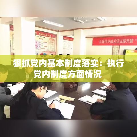 狠抓黨內(nèi)基本制度落實(shí):執(zhí)行黨內(nèi)制度方面情況