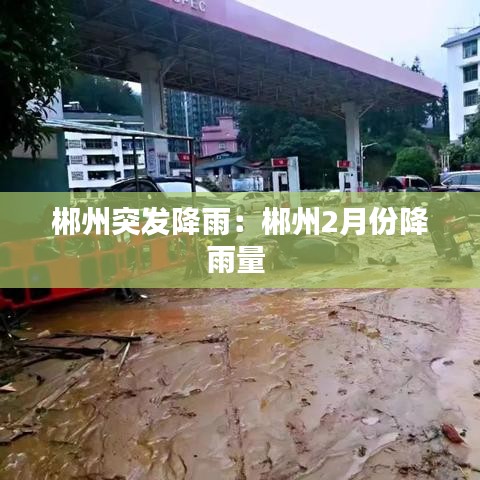 郴州突發降雨:郴州2月份降雨量