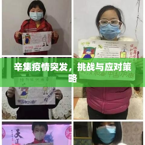 辛集疫情突發,挑戰與應對策略