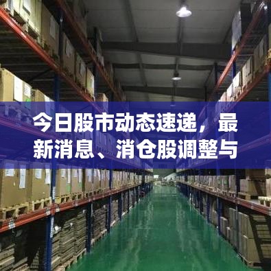 今日股市動態(tài)速遞,最新消息、消倉股調整與市場洞察分析