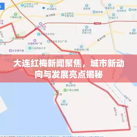 大連紅梅新聞聚焦,城市新動向與發展亮點揭秘