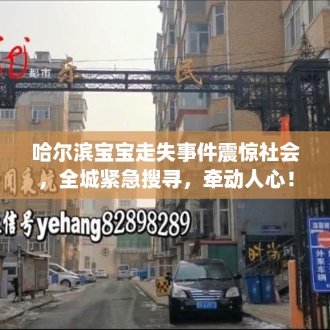 哈爾濱寶寶走失事件震驚社會,全城緊急搜尋,牽動人心!