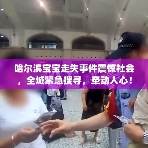 哈爾濱寶寶走失事件震驚社會,全城緊急搜尋,牽動人心!