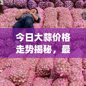 今日大蒜價(jià)格走勢(shì)揭秘,最新消息、市場(chǎng)分析及影響因素一網(wǎng)打盡