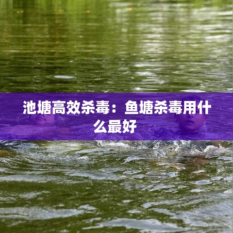 手不釋卷 第3頁(yè)