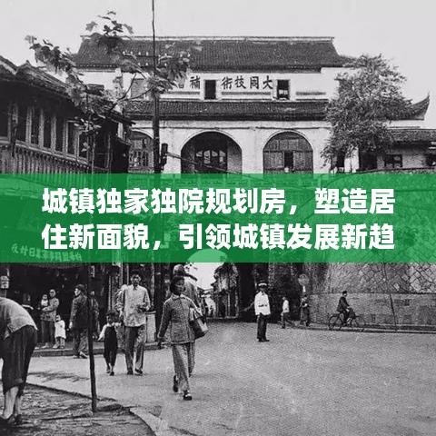 城鎮(zhèn)獨(dú)家獨(dú)院規(guī)劃房,塑造居住新面貌,引領(lǐng)城鎮(zhèn)發(fā)展新趨勢(shì)