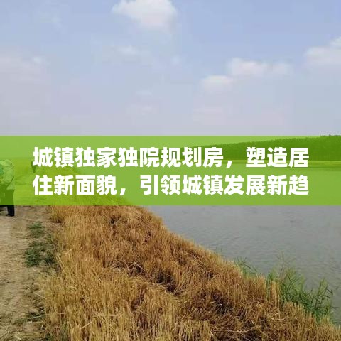 城鎮(zhèn)獨(dú)家獨(dú)院規(guī)劃房,塑造居住新面貌,引領(lǐng)城鎮(zhèn)發(fā)展新趨勢(shì)