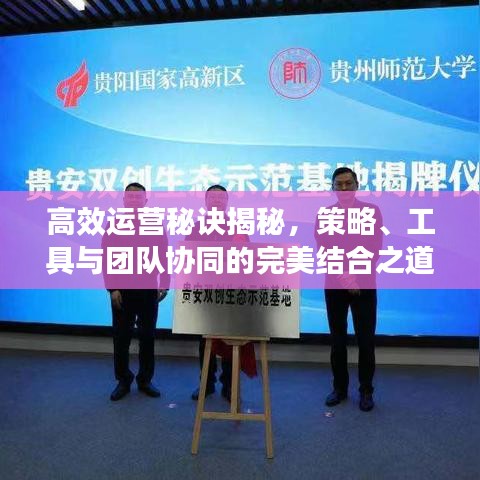高效運營秘訣揭秘,策略、工具與團隊協(xié)同的完美結(jié)合之道
