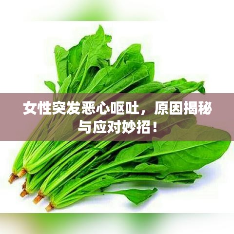 女性突發惡心嘔吐,原因揭秘與應對妙招!