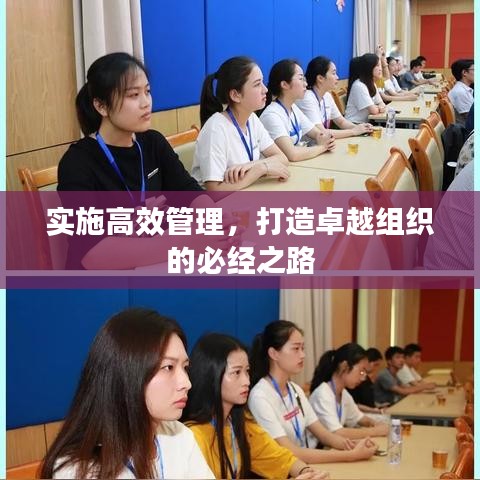 實(shí)施高效管理,打造卓越組織的必經(jīng)之路
