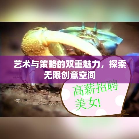 藝術(shù)與策略的雙重魅力,探索無限創(chuàng)意空間