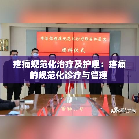 疼痛規(guī)范化治療及護理:疼痛的規(guī)范化診療與管理