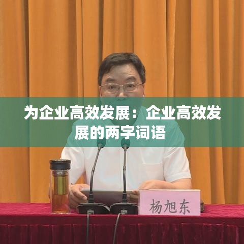 為企業高效發展:企業高效發展的兩字詞語