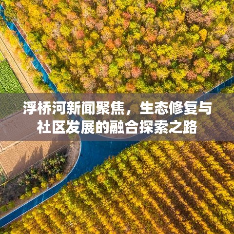 浮橋河新聞聚焦,生態修復與社區發展的融合探索之路