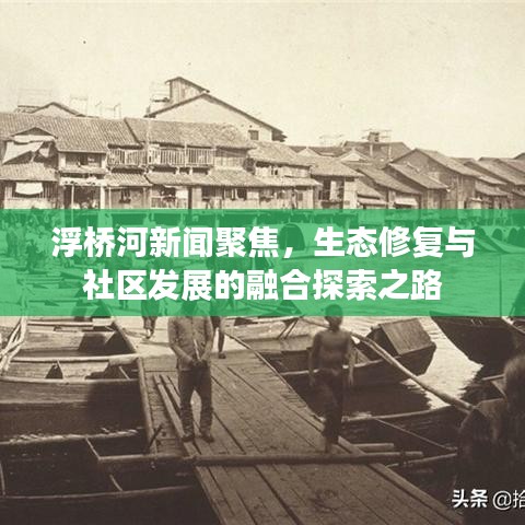 浮橋河新聞聚焦,生態修復與社區發展的融合探索之路