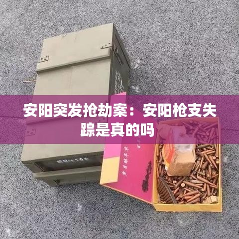 安陽突發搶劫案:安陽槍支失蹤是真的嗎
