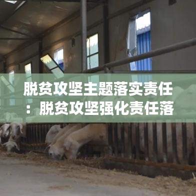 脫貧攻堅(jiān)主題落實(shí)責(zé)任:脫貧攻堅(jiān)強(qiáng)化責(zé)任落實(shí)