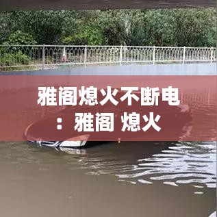 雅人深致 第3頁