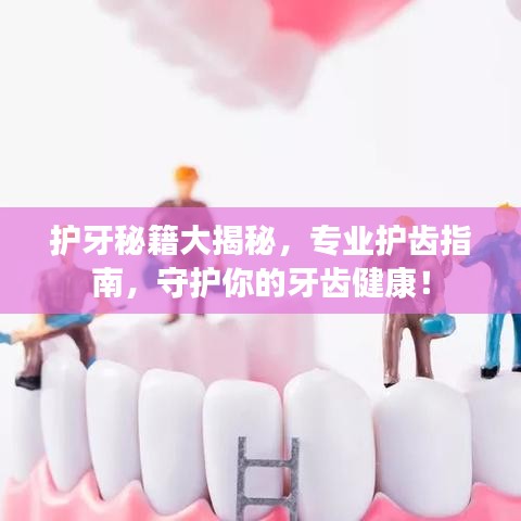 護牙秘籍大揭秘,專業護齒指南,守護你的牙齒健康!