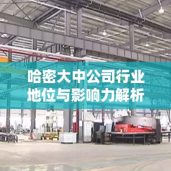哈密大中公司行業(yè)地位與影響力解析,排名及影響力揭秘