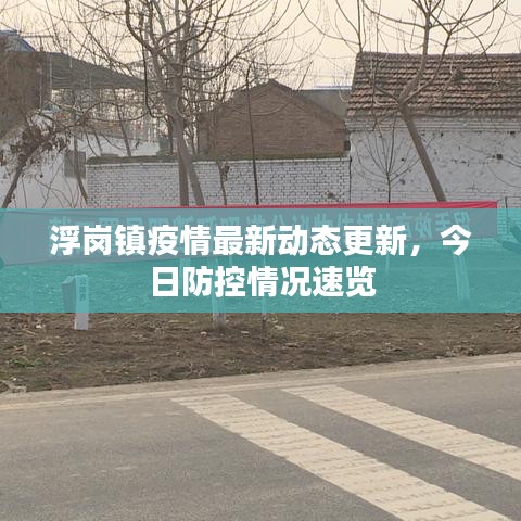 浮崗鎮疫情最新動態更新,今日防控情況速覽