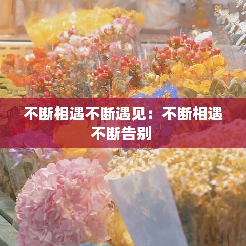 不斷相遇不斷遇見:不斷相遇不斷告別