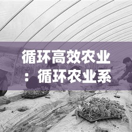 循環(huán)高效農(nóng)業(yè):循環(huán)農(nóng)業(yè)系統(tǒng)