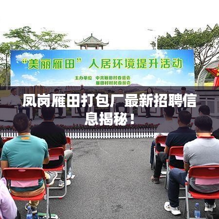 鳳崗雁田打包廠最新招聘信息揭秘!
