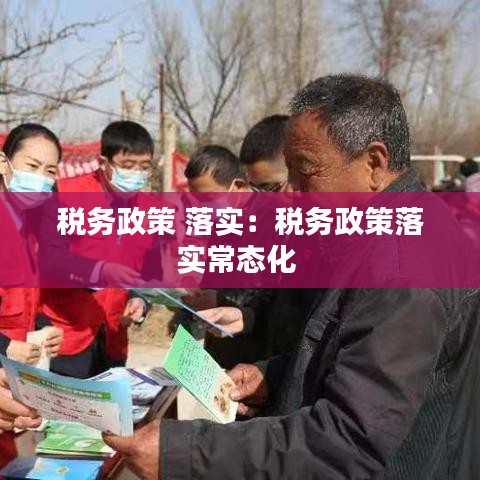 稅務政策 落實:稅務政策落實常態化