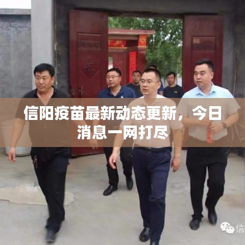 信陽疫苗最新動態更新,今日消息一網打盡