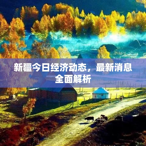 新疆今日經(jīng)濟動態(tài),最新消息全面解析