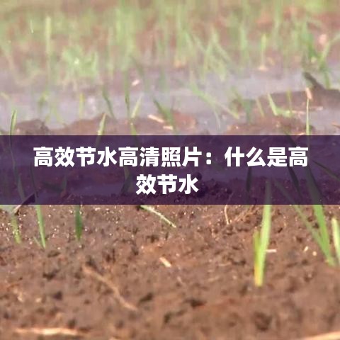 高效節水高清照片:什么是高效節水