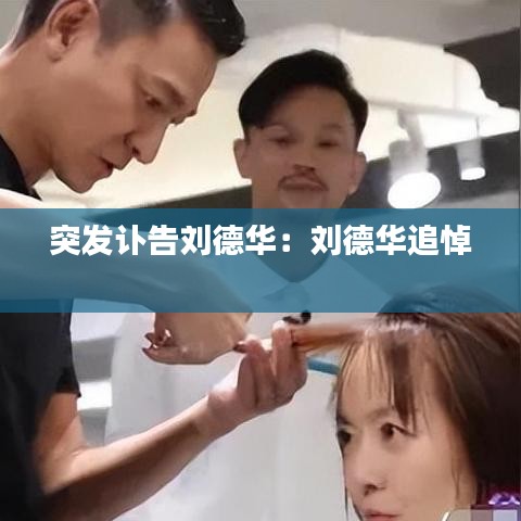 突發訃告劉德華:劉德華追悼