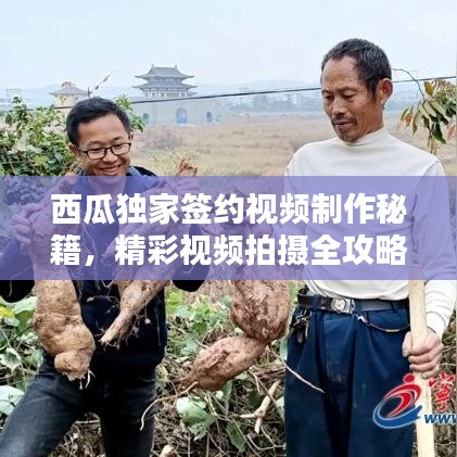 西瓜獨(dú)家簽約視頻制作秘籍,精彩視頻拍攝全攻略