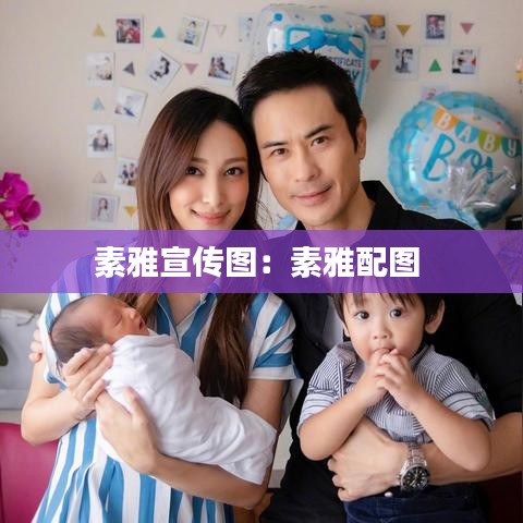 素雅宣傳圖:素雅配圖