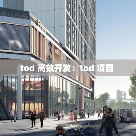 tod 高效開發:tod 項目
