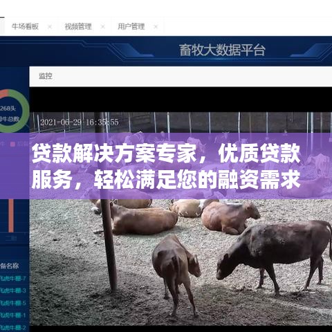 貸款解決方案專家,優質貸款服務,輕松滿足您的融資需求!