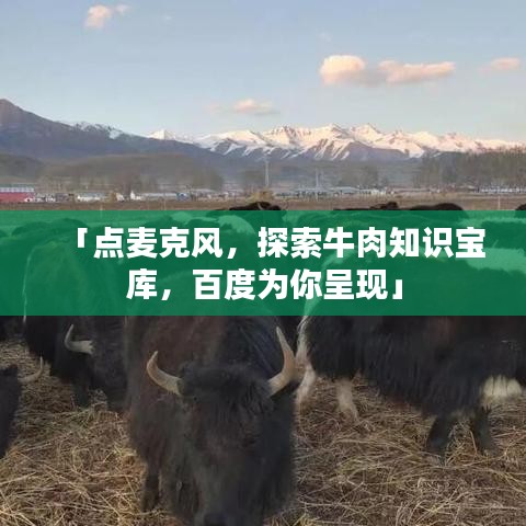 「點麥克風,探索牛肉知識寶庫,百度為你呈現」