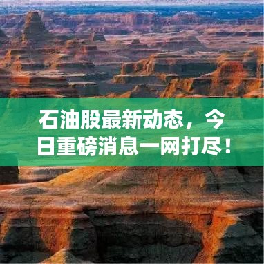 石油股最新動態,今日重磅消息一網打盡!