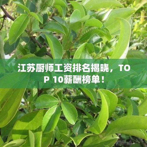慌慌張張 第3頁
