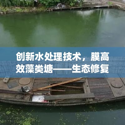 創新水處理技術,膜高效藻類塘——生態修復的理想方案